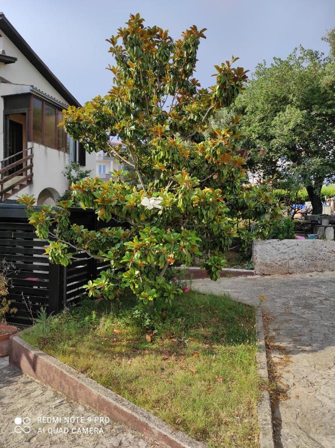 Guesthouse Suzy Pula Exterior foto